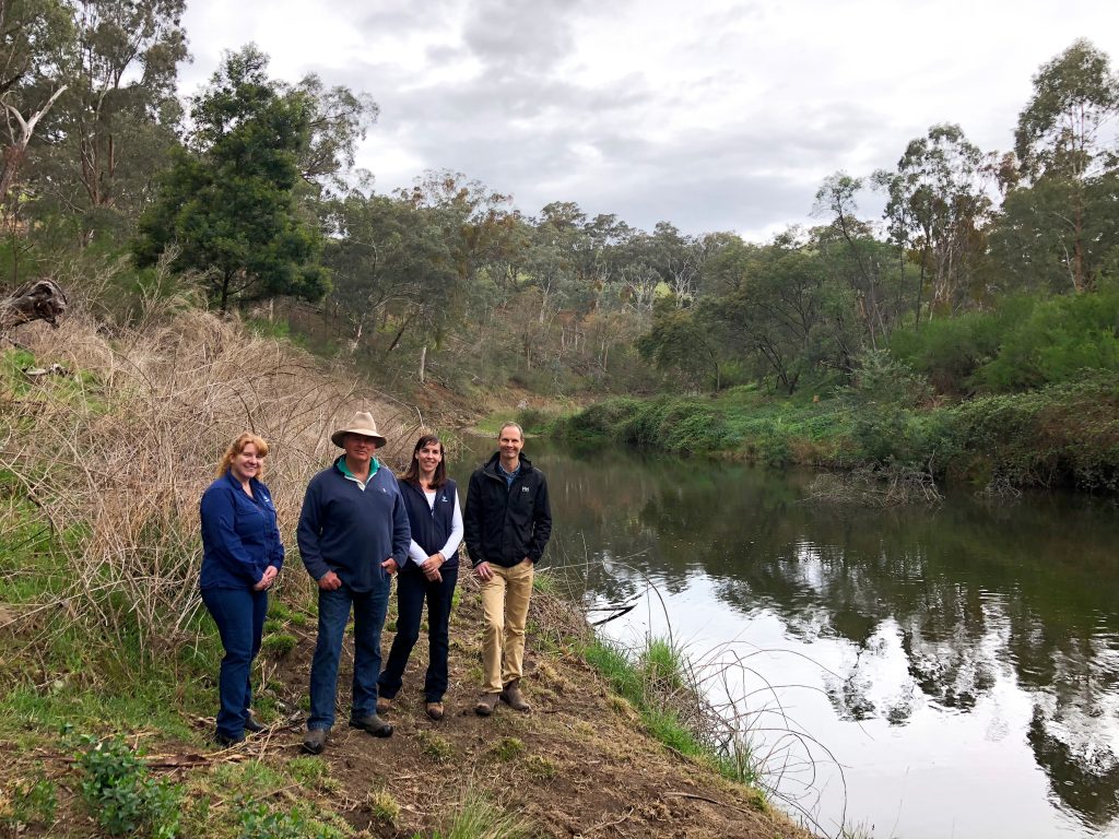 Bec Hemming, Ken Skews, Nic Thompson and Luke Murphy stand on the bank of the Tambo River where blackberries have been sprayed as part of the OCOC project.
