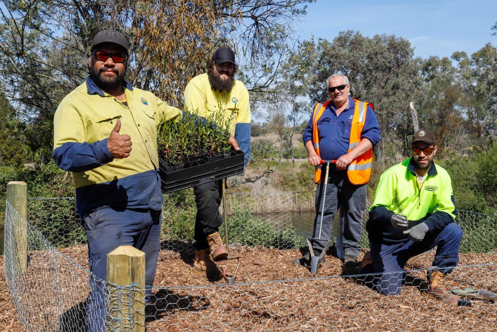 Three members of the GLaWAC NRM crew are standing inside the exclusion plot with EGCMA Works Coordinator Peter Brookes, ready to plant seedlings.