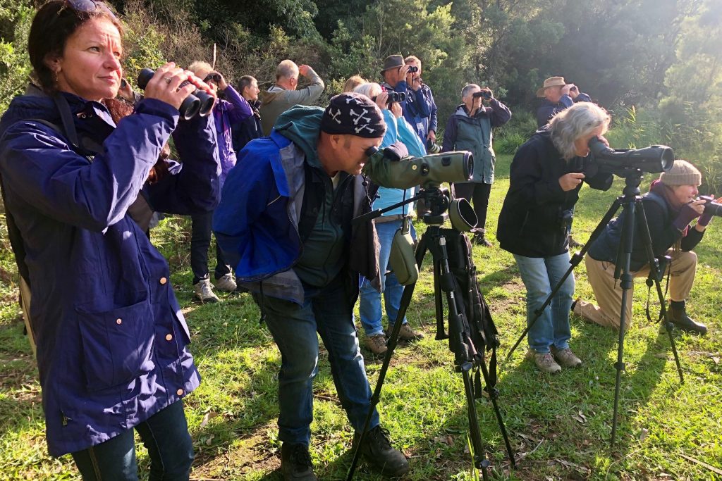 Group of adults watch birds through binoculars and scopes